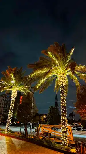 Commercial Electrician in Sunrise