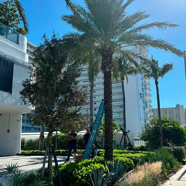 Electrical Upgrades in Fort Lauderdale