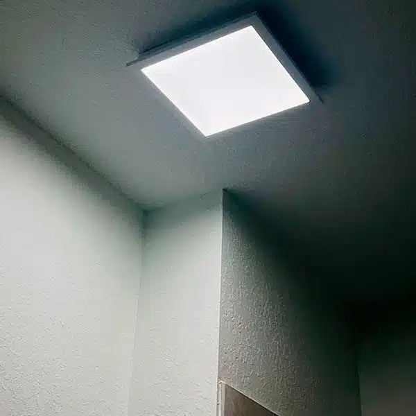 Generator, Lighting & Panel Upgrade in Plantation